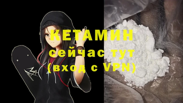 СК Абинск
