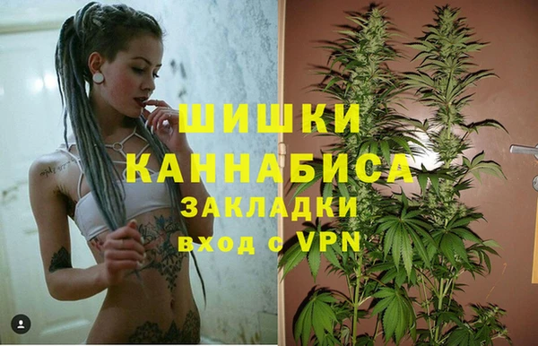 СК Абинск